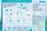 上海物资补贴申请指南，政策解读、流程详解与实用贴士