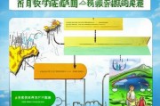 粪污处置补贴申请全攻略，从政策红利到实践效益