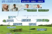 宝鸡市耕地惠农补贴申请指南，政策解读与操作全流程