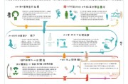 香港学生交通补贴申请全攻略，条件、流程与注意事项