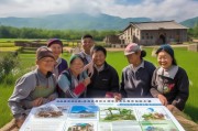 陕西农村清洁补贴申请指南，助力乡村环境焕新，惠民政策直达农户