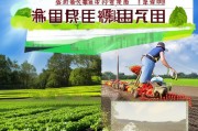蔬菜机械农机补贴申请指南，政策红利直达田间地头