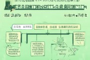 新平粮食补贴申请指南，政策解读、流程详解与注意事项