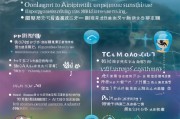 东营无业补贴申请指南，条件、流程与注意事项