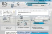 长宁市补贴申请全流程指南，从资格条件到资金到账