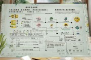 云南省教师补贴申请流程详解，条件、步骤与注意事项