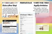 东莞参战补贴申请表，政策解读、申请指南与常见问题解答