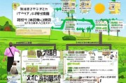 租赁土地种植补贴申请全攻略，政策红利精准落地，种植户须知这些关键环节