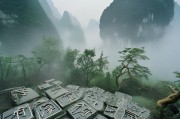 广西桂林字牌，thumb树的神秘与文明
