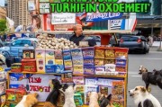 卖狗粮月入过万？私域流量才是真正的获客密码！