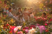 花香四溢的音乐
