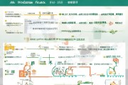衡阳市社保补贴申请全指南，条件、流程与注意事项