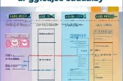 汽油补贴申请全攻略，政策解读、流程指南与注意事项