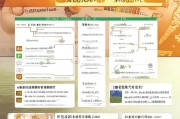 萧县残疾人补贴申请指南，条件、流程与注意事项