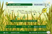 旱地玉米补贴申请指南，政策解读、流程详解与注意事项