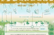 溧阳养老护理补贴申请指南，条件、流程与注意事项