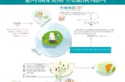 铁道占地补贴申请全攻略，政策解读、流程指引与注意事项