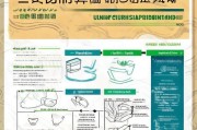 山东省午餐补贴申请指南，政策解读、流程详解与注意事项