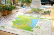 临川早稻补贴申请指南，政策解读、流程详解与注意事项