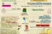 合江县粮食补贴申请全攻略，政策解读、流程指南与常见问题解答