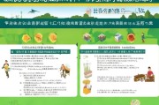 山东农业保护补贴申请指南，政策解读与实操流程