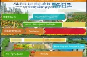 襄阳市蔬菜补贴申请全攻略，政策解读、条件流程与注意事项