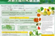 湖北襄阳蔬菜补贴申请指南，政策解读、流程详解与注意事项