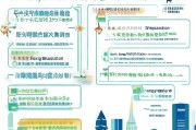 武汉移民补贴申请指南，政策解读、流程详解与注意事项