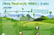 乡镇植树补贴申请指南，政策解读、流程详解与实操建议