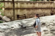 合肥技能补贴申请全流程指南，从条件到到账，一文详解