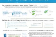 茌平区光伏补贴申请指南，政策解读、流程详解与注意事项