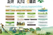 余姚种田补贴申请指南，政策解读与流程详解