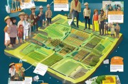 猪场土地补贴申请全攻略，政策解读、流程指南与成功案例