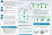 南沙区社保补贴申请全攻略，政策解读、条件流程与注意事项