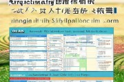 江门农业补贴申请表全攻略，从填写到获批，助农增收每一步
