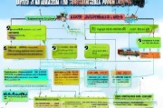 2020年养殖补贴申请全攻略，政策解读、流程指南与注意事项