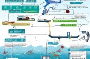 青岛海洋补贴申请全攻略，政策解读、流程指引与实用技巧