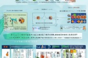 南阳生态补贴申请指南，政策解读、流程详解与注意事项