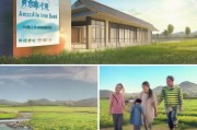 农行保险年金，保障与安全的平衡
