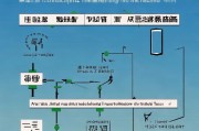 宁夏专利补贴申请指南，从政策解读到实操流程详解