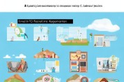 外派教师申请全攻略，从准备到成功的每一步