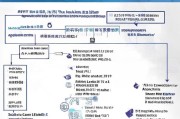 资阳市稳岗补贴申请全攻略，条件、流程、材料及注意事项