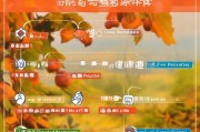 临沂板栗补贴申请指南，条件、流程、材料全解析