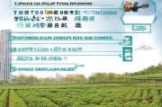 扶绥市坚果种植补贴申请全攻略，条件、流程、材料及注意事项