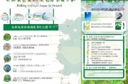衢江区新能源补贴申请指南，政策解读、流程详解与注意事项