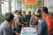 怀仁市农机补贴申请流程详解，助力农业现代化，惠民政策直达农户