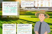 湖北荆州农业补贴申请全攻略，政策解读、流程指引与实用技巧