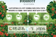 果树补贴申请全流程，从政策解读到资金到账，一篇读懂！