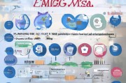 EMGS申请全攻略，从准备到提交的详细流程