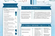 大连住房补贴申请指南，政策解读、条件流程与注意事项